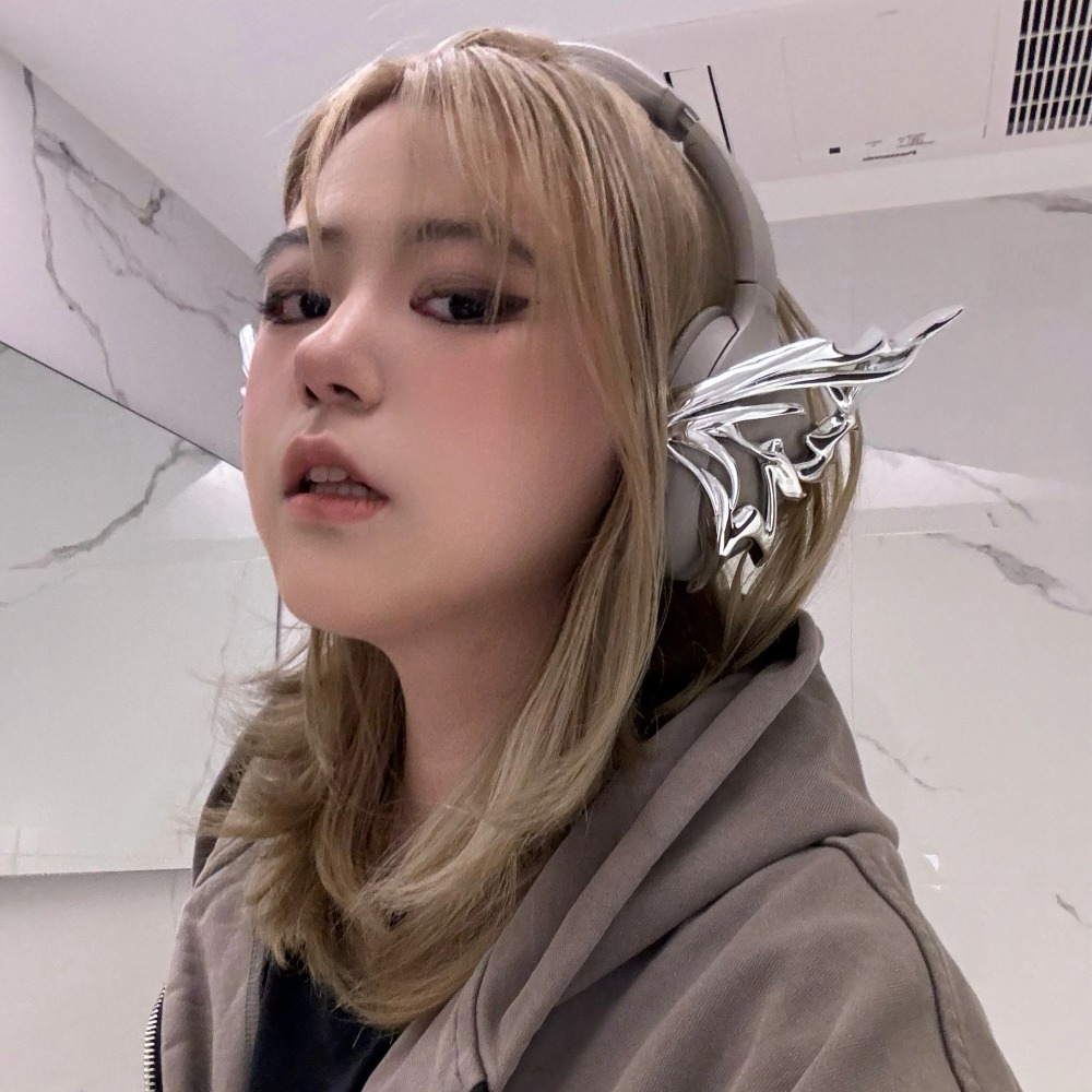 Чехол для наушников Eri Verse  – обзор и цена Sony Headphone Wh-1000Xm4